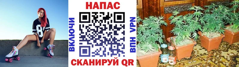 Где купить наркотики Знаменск ГАШИШ Cocaine Альфа ПВП МАРИХУАНА АМФ Меф