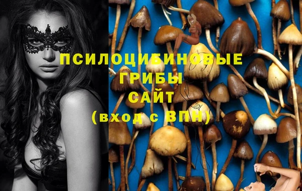 винт Алексин