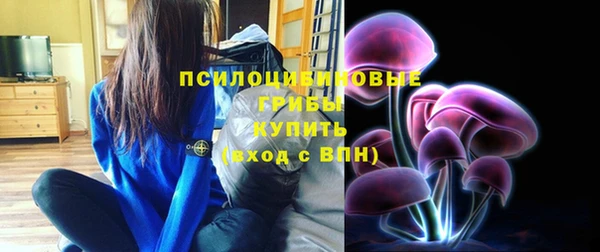 винт Алексин