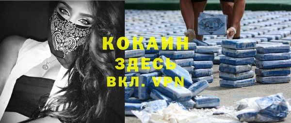 винт Алексин