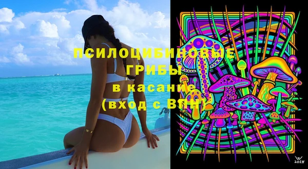 не бодяженный Алзамай