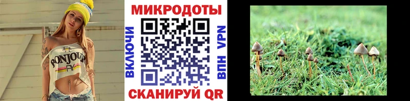 Псилоцибиновые грибы мицелий Знаменск